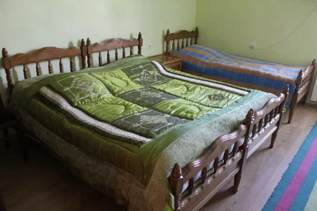 Бакуриани: Guji Inn