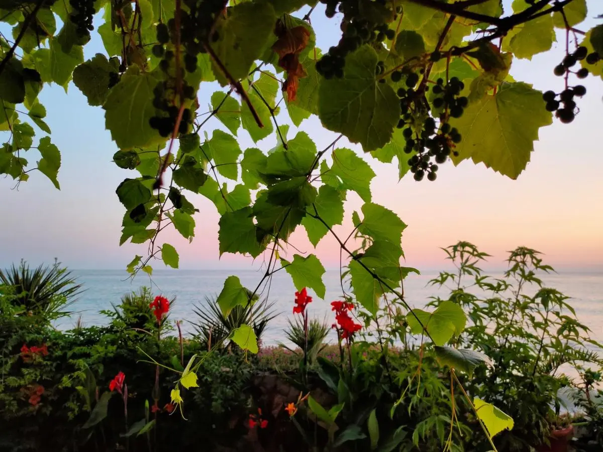 Лоо: Guest House Elling Solnechniy