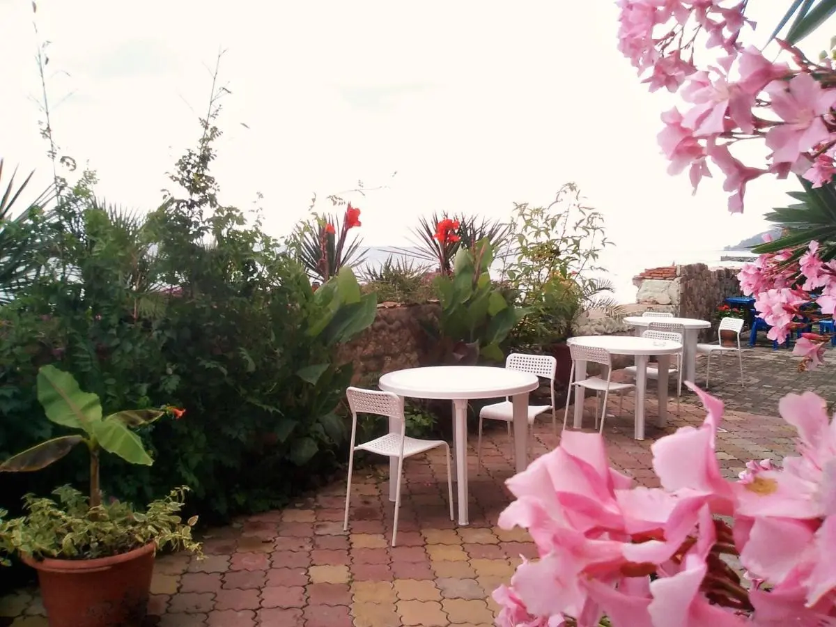 Лоо: Guest House Elling Solnechniy