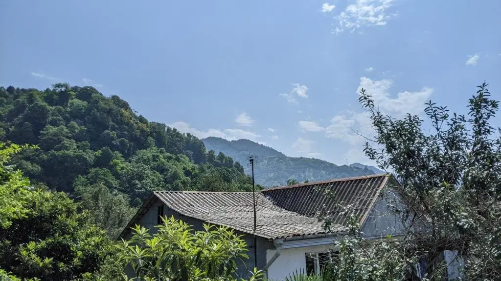 Батуми: Simona Guest House