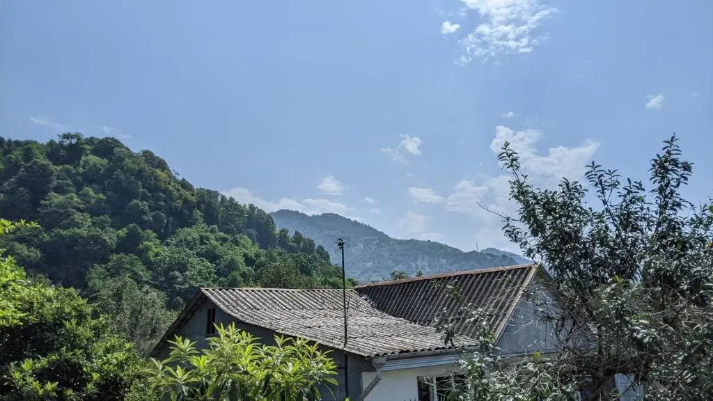Батуми: Simona Guest House