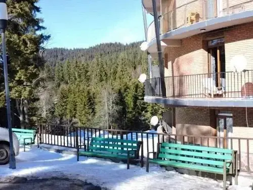 Бакуриани: Rest House In Bakuriani
