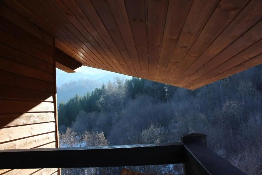 Бакуриани: Didveli Residence, Apartment with Mountain View