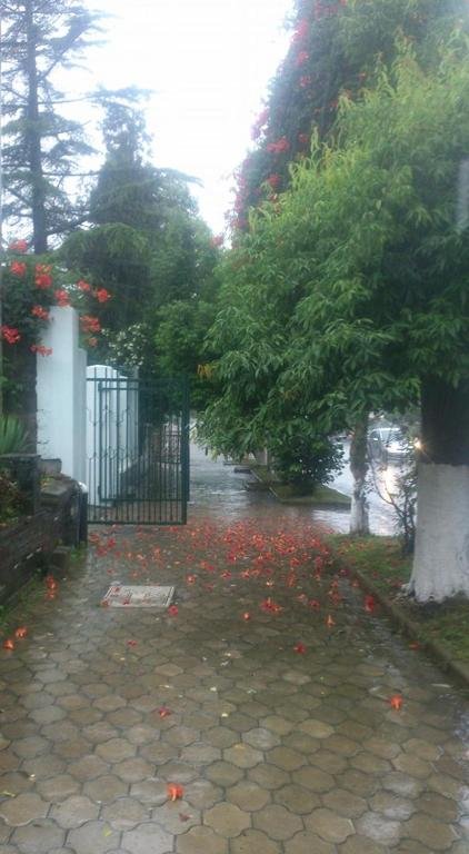 Кобулети: Keti'ss cozy house in Kobuleti
