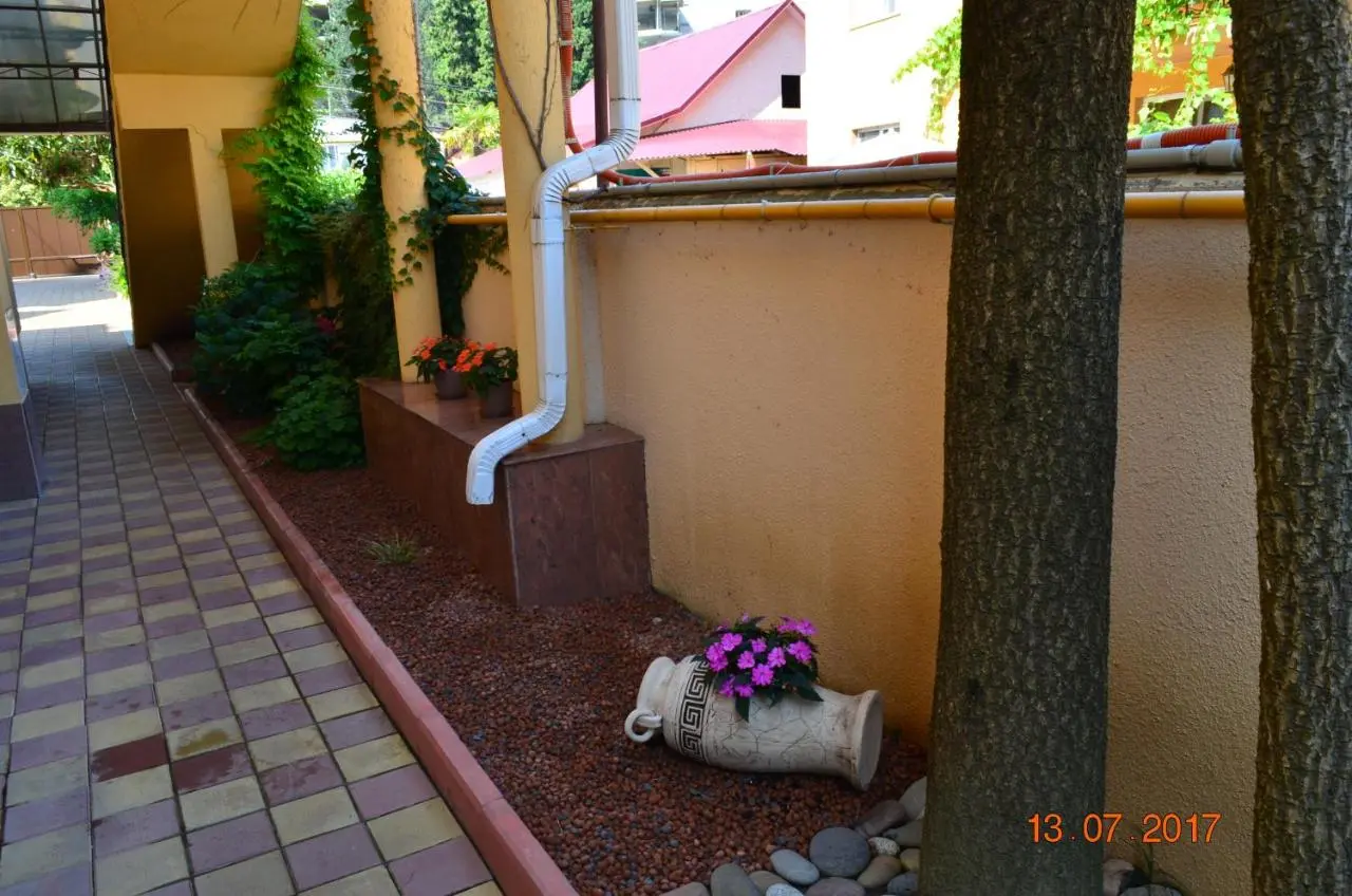 Сочи: Guest House Talasso