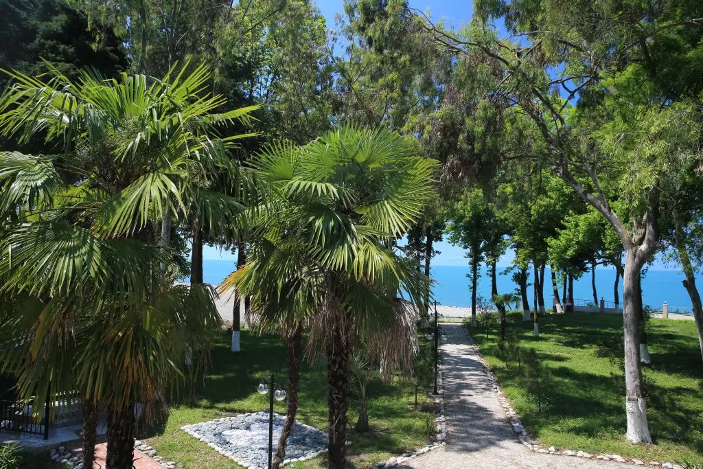 Сухум: Agudzera Guest House