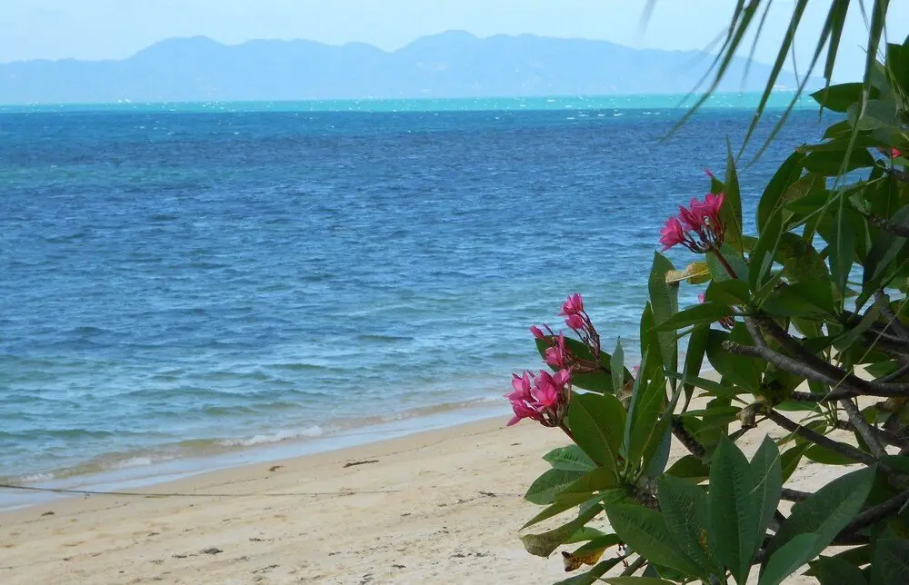 Самуи: Royal Living Koh Samui - Dreamy With Jacuzzi - Villa 6