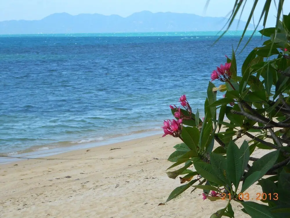 Самуи: Royal Living Koh Samui - Apartment 10 With Wheel Chair Accessibility