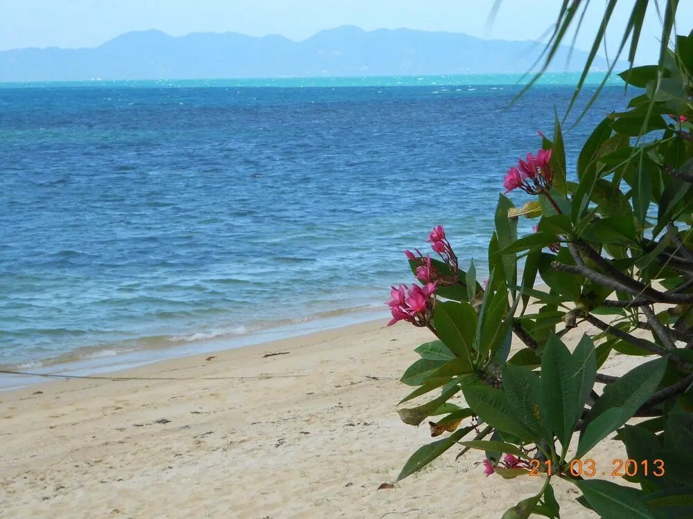 Самуи: Royal Living Koh Samui - Apartment 10 With Wheel Chair Accessibility