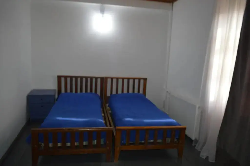 Бакуриани: Tetri Saxli Hotel