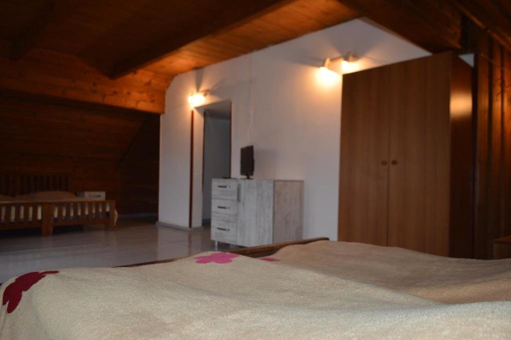 Бакуриани: Tetri Saxli Hotel