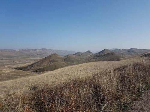 Удабно: Savane