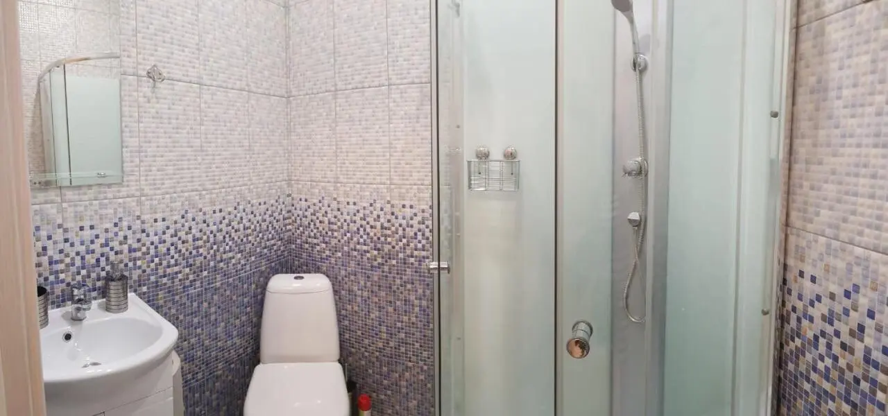 Санкт-Петербург: Guest house Orhidea