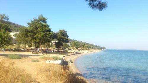 Капикири: Ege Yildizi Holiday Homes