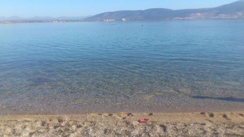 Капикири: Ege Yildizi Holiday Homes