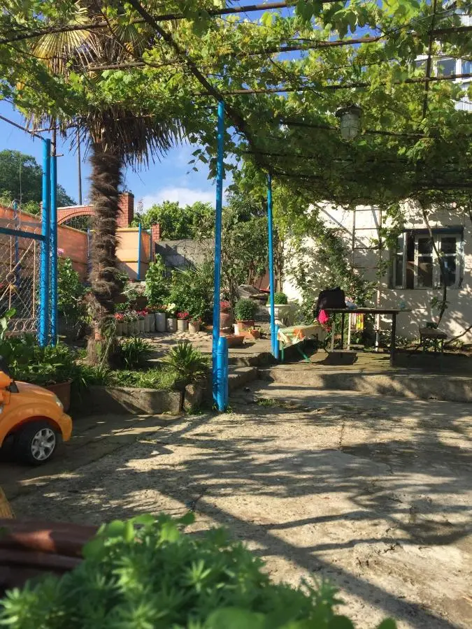 Сочи: U Darii Guest House