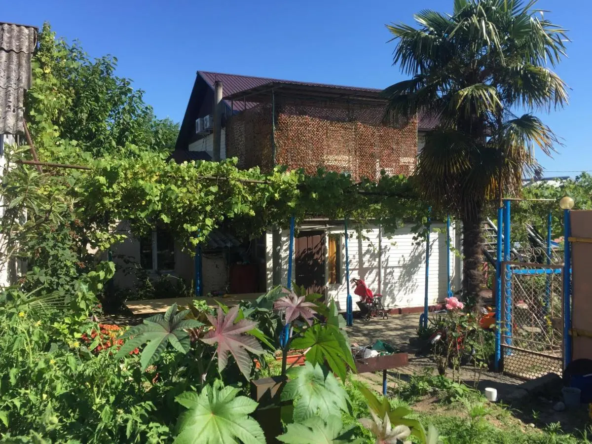 Сочи: U Darii Guest House