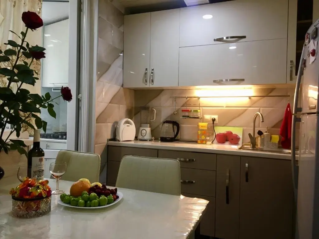 Тбилиси: Newly renovated house