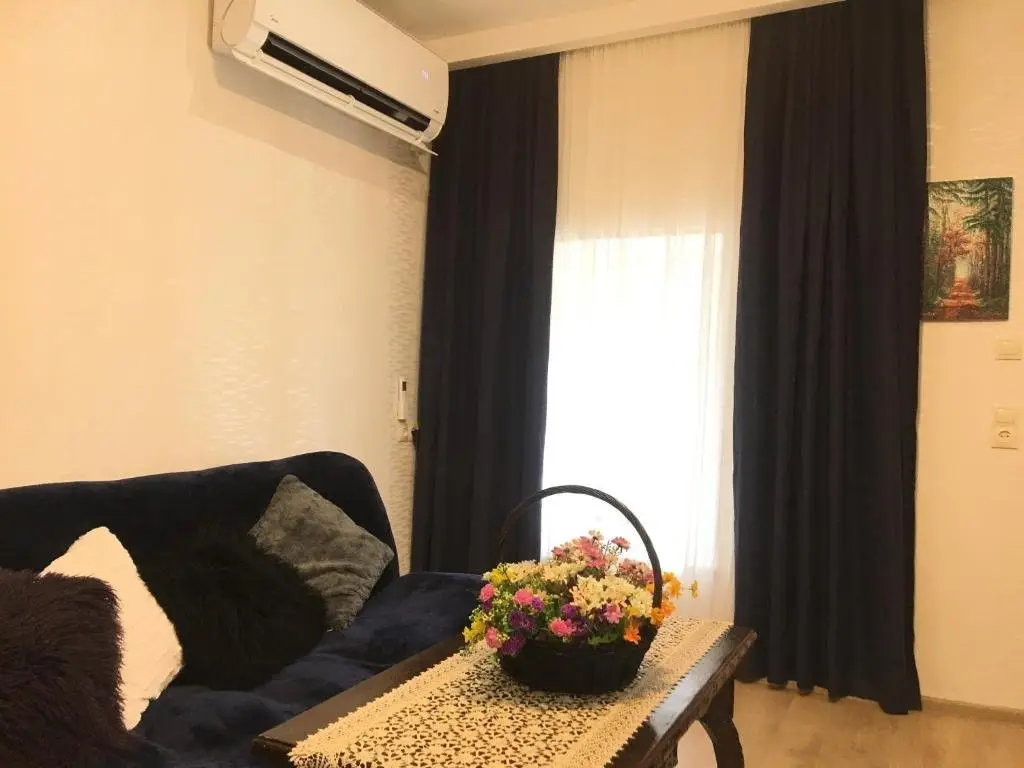 Тбилиси: Newly renovated house