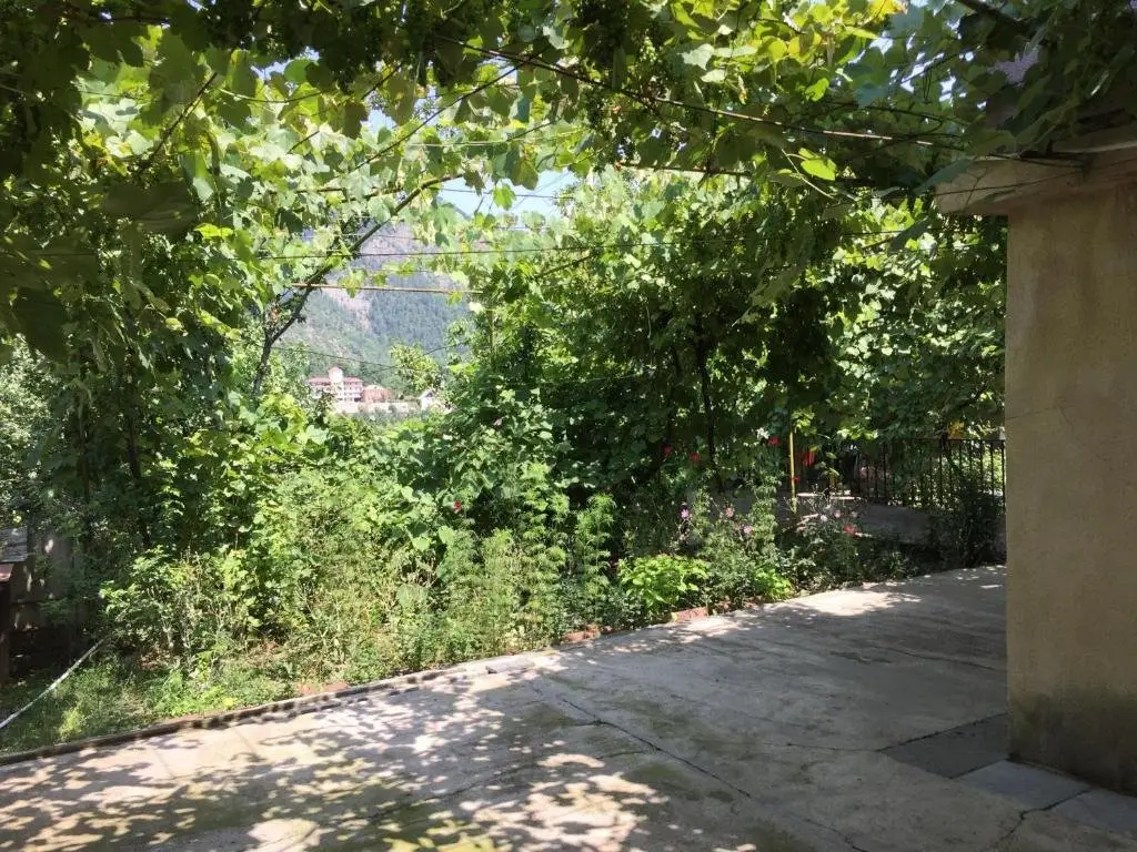 Боржоми: lashas guesthouse