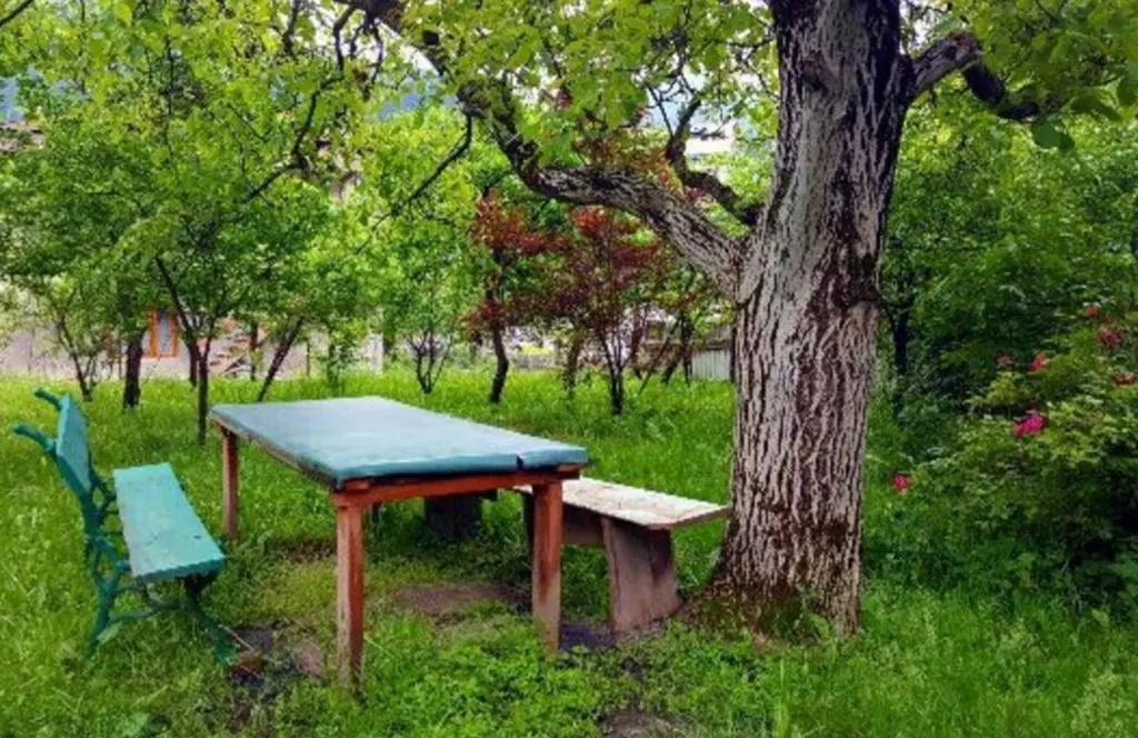 Боржоми: Likani Guesthouse