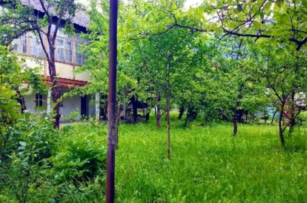 Боржоми: Likani Guesthouse