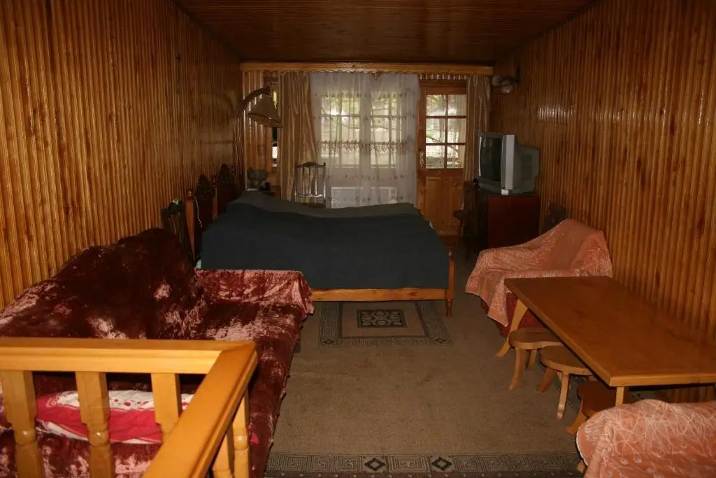 Боржоми: Vaxo's Guesthouse