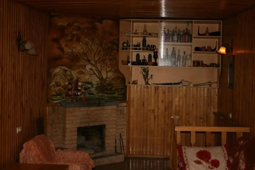 Боржоми: Vaxo's Guesthouse