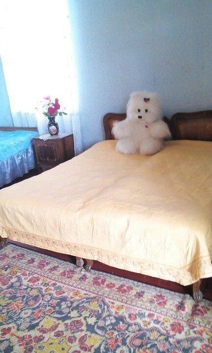 Очамчира: V Kingi Guest House