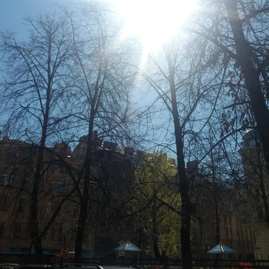 Санкт-Петербург: Меблированные комнаты Ленинградское Время