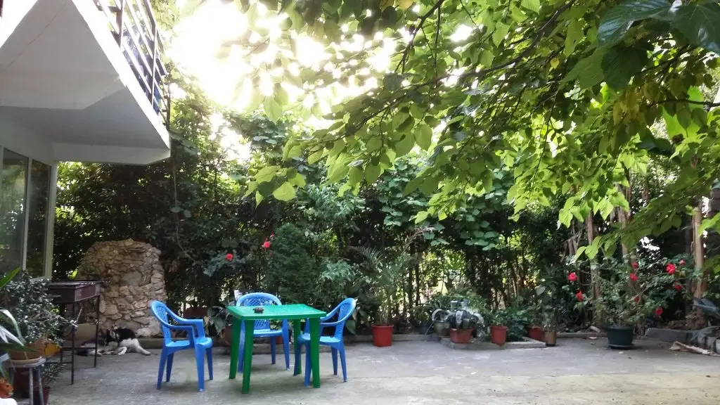 Гагра: Kivi Guest House