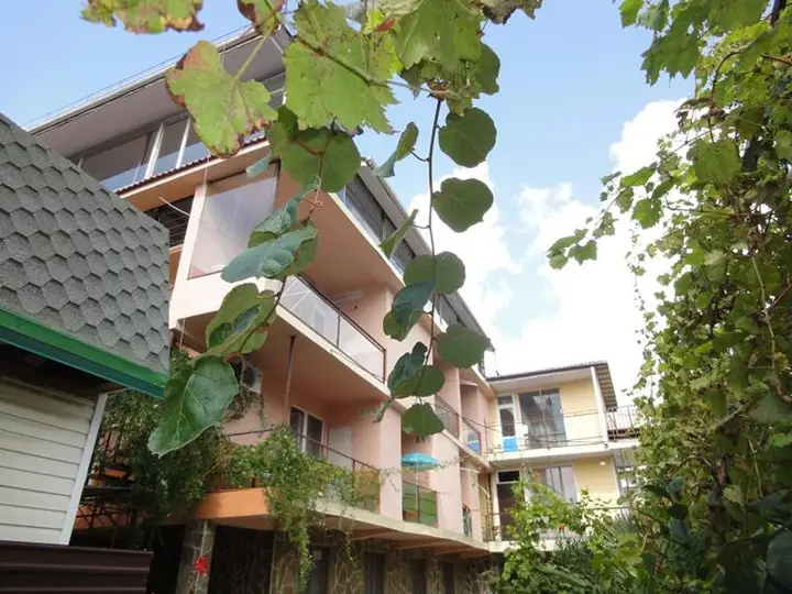 Сочи: Oasis Guest House