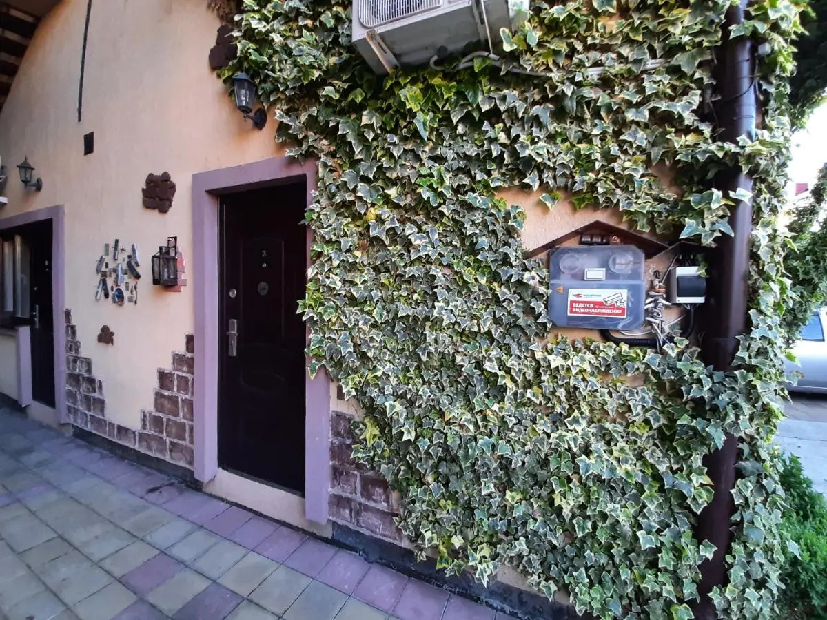 Адлер: Guest House Teremok
