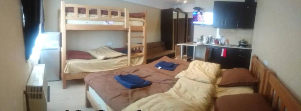 Гудаури: Khmelidze Apartments