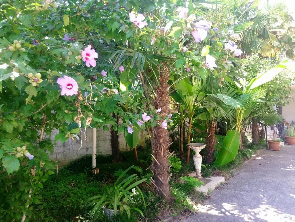 Батуми: 12 Angisa Street Апартаменты