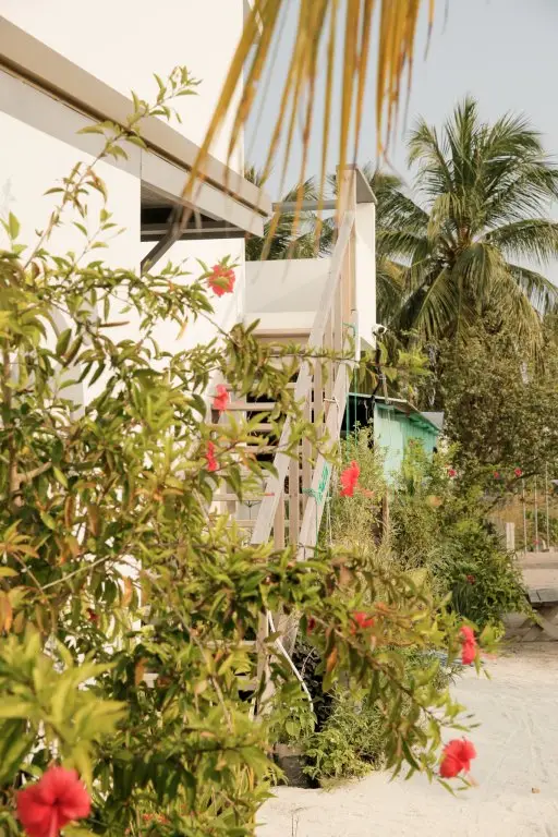 Гостевой дом My House Maldives — фото 1