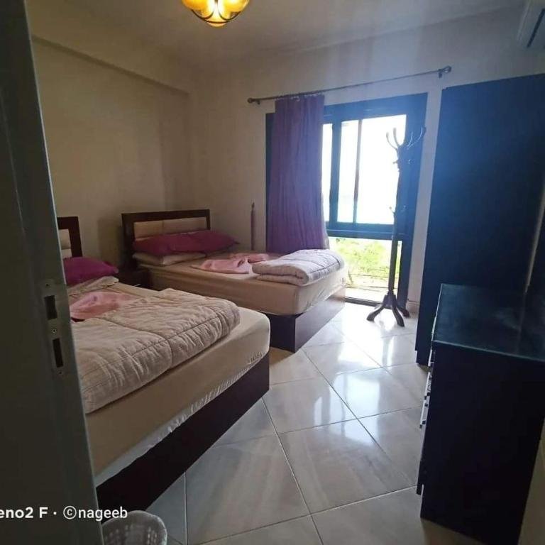 Эль-Аламейн: Marassi North Coast Vento View pool