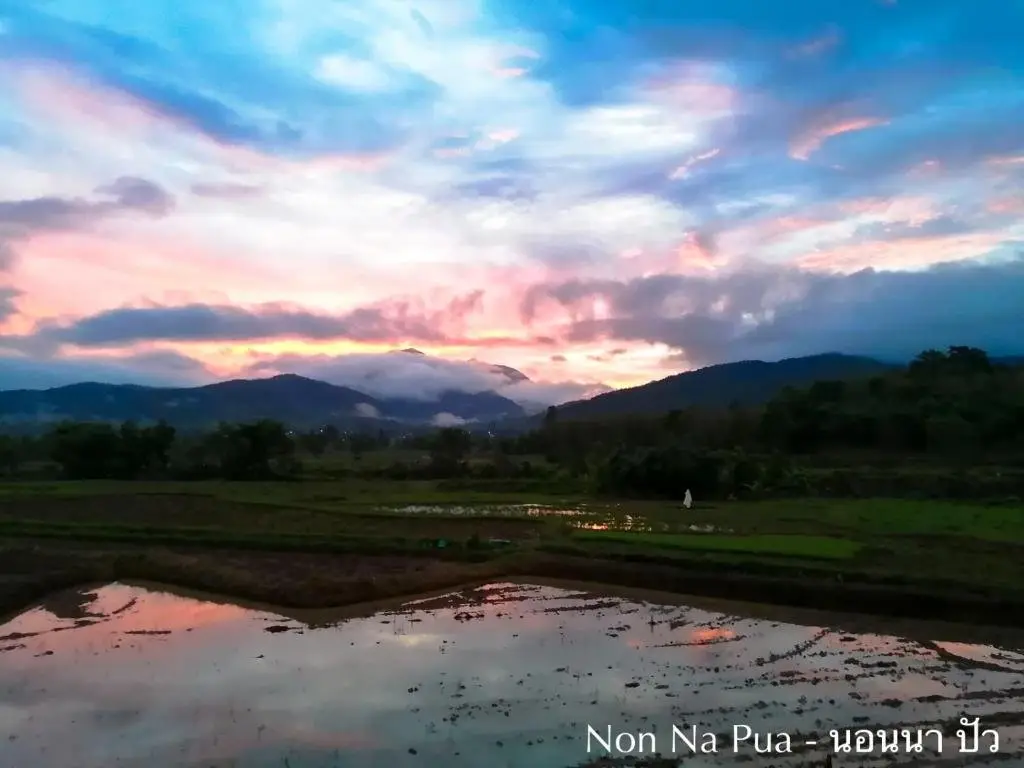 Non Na Pua - นอนนา ปัว — фото 1