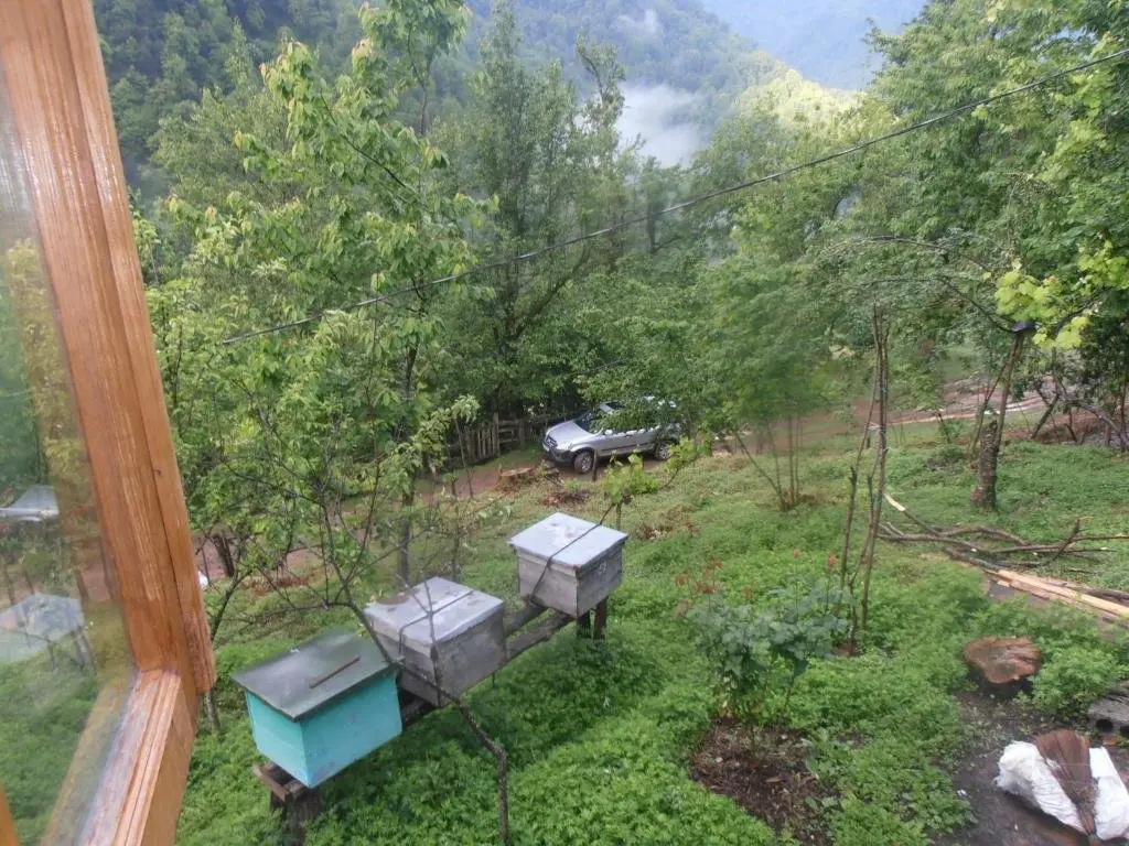 Батуми: Villa Tengiz