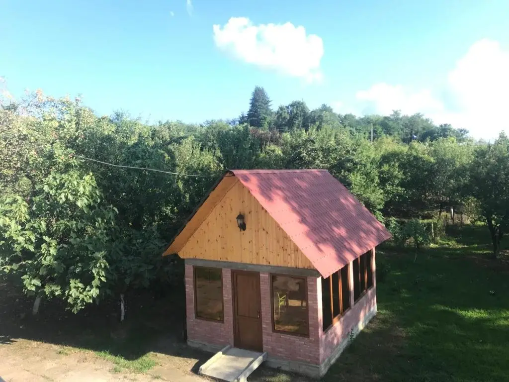 Кутаиси: Villa ipo