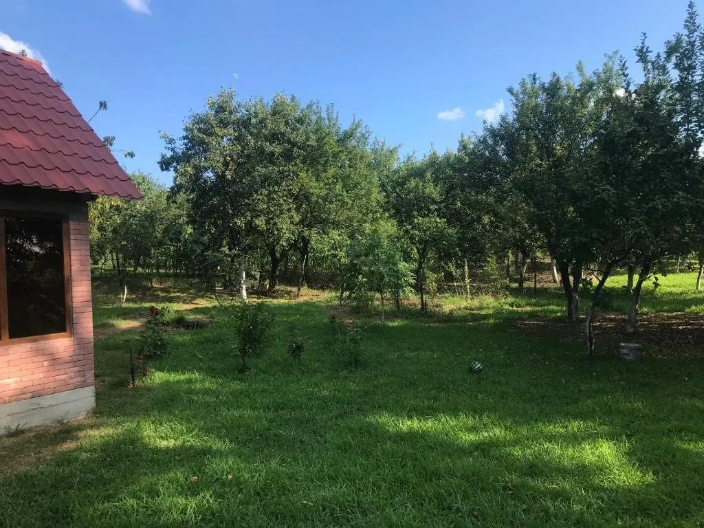 Кутаиси: Villa ipo