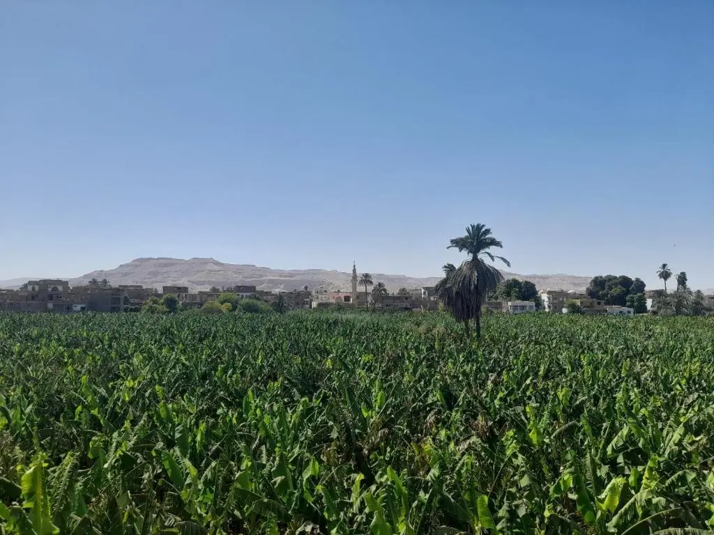Луксор: The 3 Bedroom Blue House On The Nile