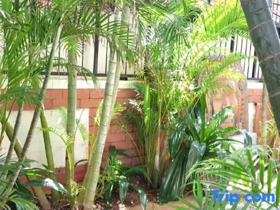 Паттайя: MADEE VILLA - PATTAYA HOLIDAY HOUSE WALKING STREET 6 bedrooms