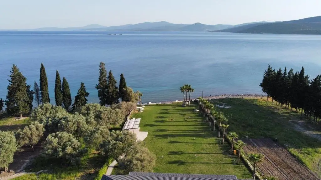 Olive Beach Residence — фото 1