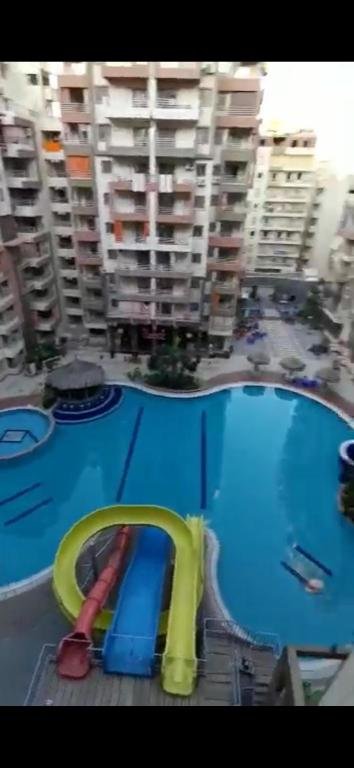 Александрия: منتجع هوليداي ريزورت اكتوبر النخيل