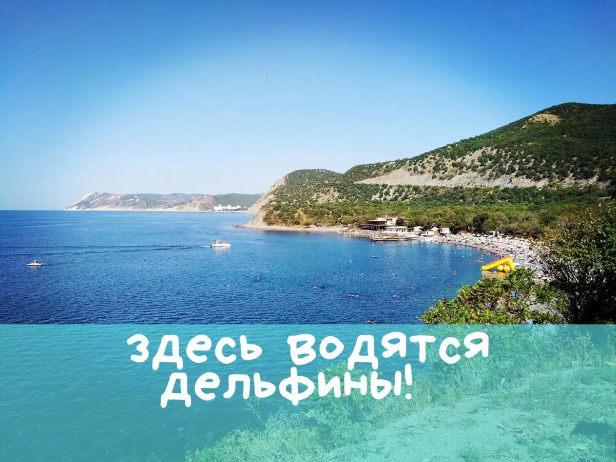 Сукко: Отель Шармель