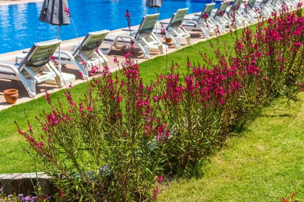 Фетхие: likya garden residence 2