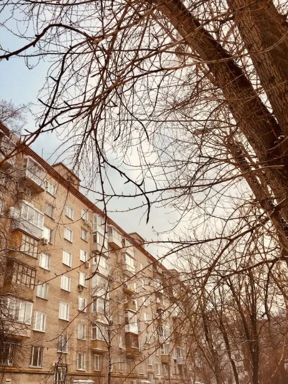 Москва: Апартаменты «Пафос» в Хамовниках