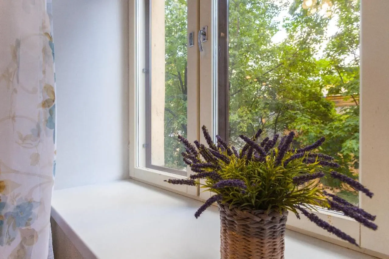 Воронеж: Apartment Marata 10