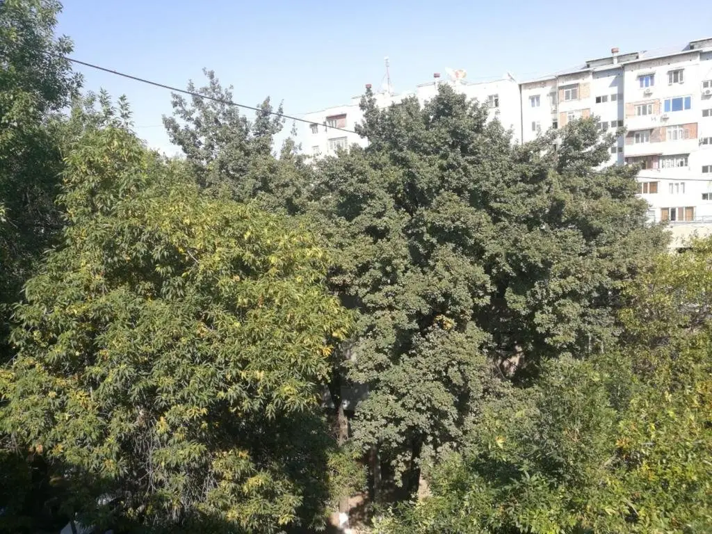 Ташкент: 2 bed room Apartment in Center Апартамент в центре 3 комнаты